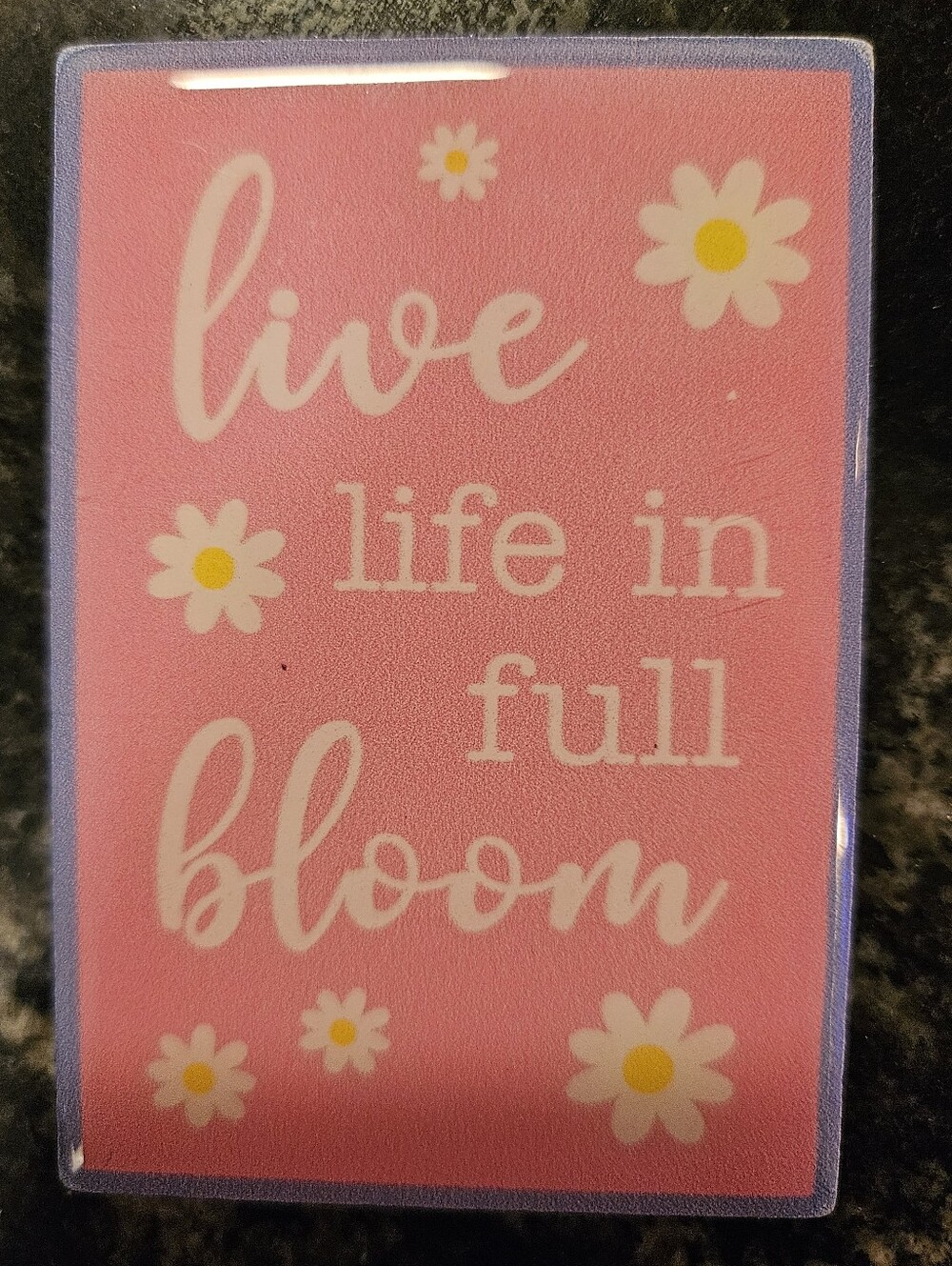 True Living "Live Life in Full Bloom" 3x4 Fridge Magnet Pink Daisy Spring Decor